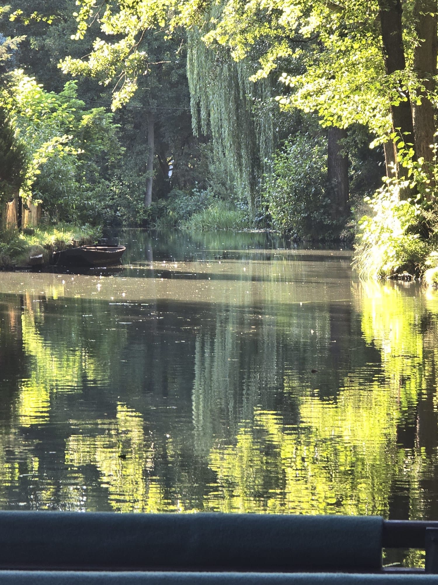 Andreas Schmidtchen stakt seinen Kahn am blühenden Ufer im Spreewald bei Lübbenau