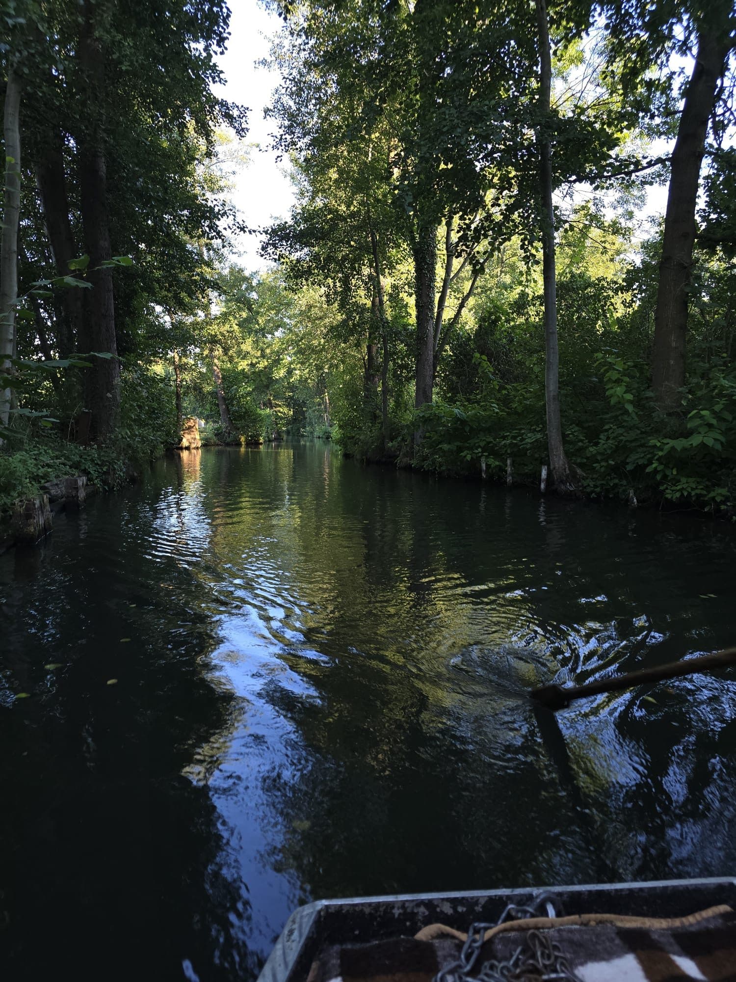 Blick vom Kahn: die Stake im dunklen Wasser des Fließes